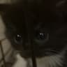 Zachary Black's profile picture